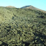 Luonnonsuojelu alue. Lanzarote